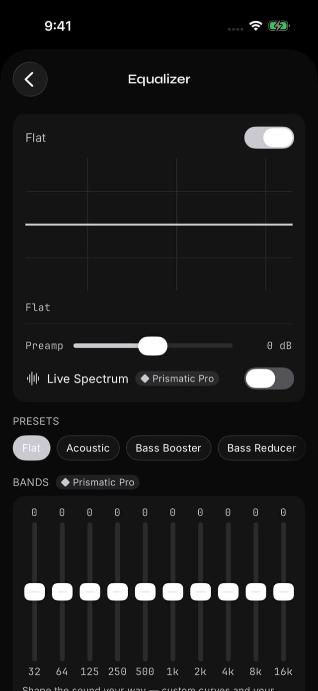 The Equalizer screen with its top switch on, Flat selected, and the Presets row below.
